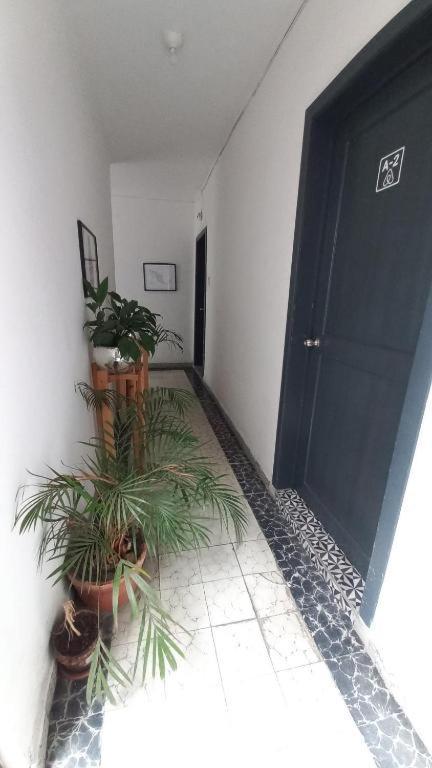 A3 Cuarto Condesa Amsterdam * Mexico City