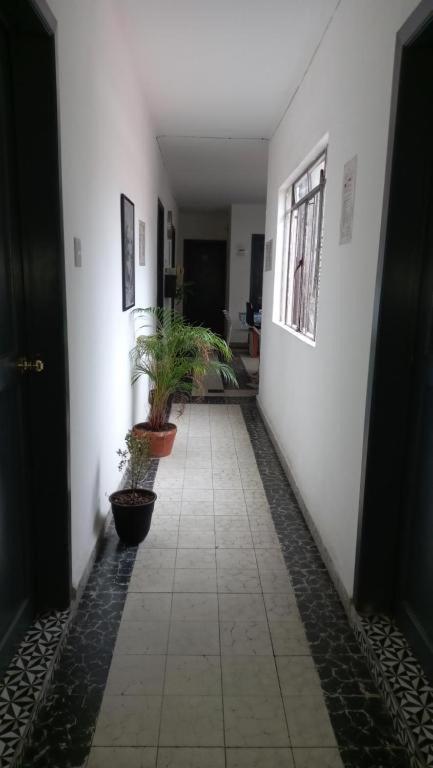 A3 Cuarto Condesa Amsterdam Homestay *